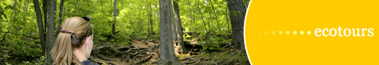 Vancouver Island Ecotours